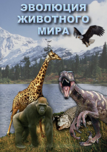 DVD "Эволюция животного мира" - fgospostavki.ru - Барнаул