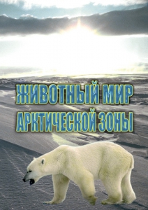 DVD "Животный мир Арктической зоны" - fgospostavki.ru - Барнаул