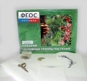 Гербарий "Основные группы растений" (52 листа) - fgospostavki.ru - Барнаул
