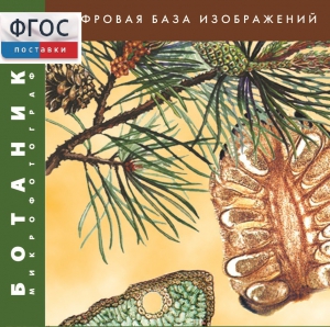 Ботаника. Микрофотографии. (Цифровая база изображений) - fgospostavki.ru - Барнаул