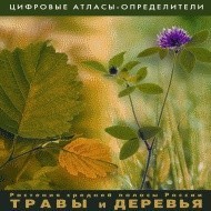 Растения средней полосы России "Травы и Деревья". (Цифровые атласы-определители) - fgospostavki.ru - Барнаул