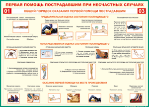 Таблица "Общий порядок оказания первой помощи пострадавшим" (100х140 сантиметров, винил) - fgospostavki.ru - Барнаул