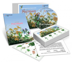 Комбинированное наглядное пособие «Растения» - fgospostavki.ru - Барнаул