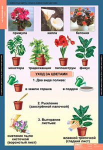 Комплект таблиц. Окружающий мир 1 класс. - fgospostavki.ru - Барнаул