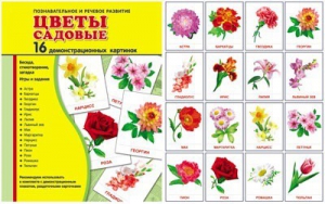 Демонстрационные карточки "Цветы садовые" - fgospostavki.ru - Барнаул