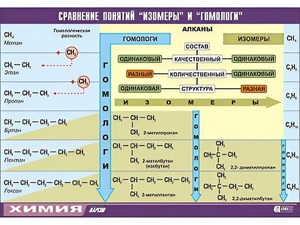 Таблица демонстрационная "Сравнение понятий изомер и гомолог" (винил 70x100) - fgospostavki.ru - Барнаул