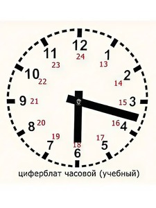 Часовой циферблат раздаточный - fgospostavki.ru - Барнаул