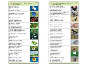 Комплект карточек (10) "Обучающий калейдоскоп. Природа" - fgospostavki.ru - Барнаул