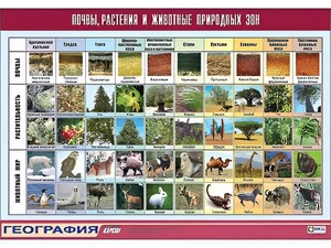 Таблица демонстрационная "Почвы, растения и животные природных зон" (винил 70*100) - fgospostavki.ru - Барнаул