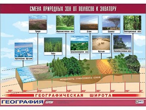 Таблица демонстрационная "Смена природных зон от полюсов к экватору" (винил 70*100) - fgospostavki.ru - Барнаул