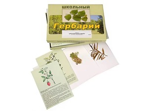 Гербарий "Для начальной школы" (30 видов, с иллюстрациями) - fgospostavki.ru - Барнаул