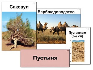 Модель-аппликация "Природные зоны России" (ламинированная) - fgospostavki.ru - Барнаул