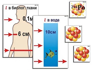 Модель-аппликация "Явление радиоактивности" (ламинированная) - fgospostavki.ru - Барнаул