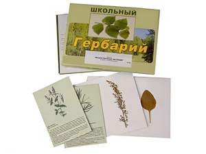 Гербарий "Лекарственные растения" (22 вида с иллюстрациями) - fgospostavki.ru - Барнаул