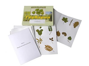 Гербарий "Морфология растений" (6 тем, 30 видов) - fgospostavki.ru - Барнаул