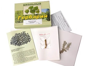 Гербарий "Водоросли. Грибы. Лишайники" (раздаточный) - fgospostavki.ru - Барнаул