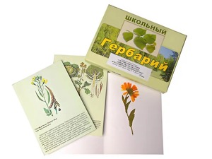 Гербарий "Систематика растений. Семейство Пасленовые. Крестоцветные. Сложноцветные" (раздаточный) - fgospostavki.ru - Барнаул
