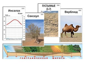 Модель-аппликация "Природные зоны" - fgospostavki.ru - Барнаул