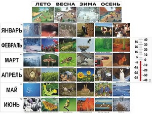 Фенологические наблюдения - fgospostavki.ru - Барнаул
