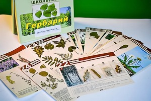 Гербарий к курсу основ общей биологии - fgospostavki.ru - Барнаул