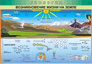 Таблица "Возникновение жизни на земле" (100х140 сантиметров, винил) - fgospostavki.ru - Барнаул
