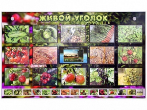 Комплект оборудования "Живой уголок" (растения) с тифлопереводом и сурдокомментариями - fgospostavki.ru - Барнаул