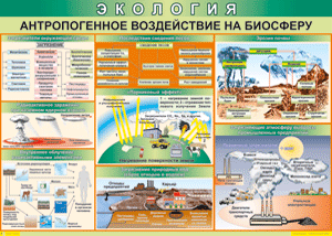 Таблица "Антропогенное воздействие на биосферу" (100х140 сантиметров, винил) - fgospostavki.ru - Барнаул