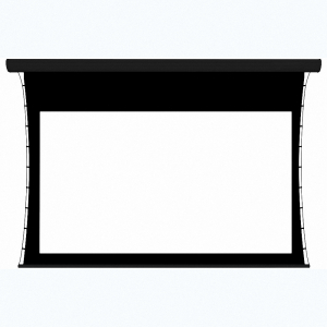 Экран настенный с электроприводом DSTPX-16918 - fgospostavki.ru - Барнаул