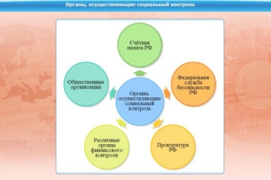 Интерактивные курсы. Обществознание 10 класс. Базовый - fgospostavki.ru - Барнаул