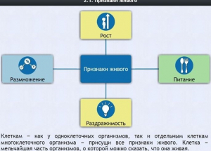Интерактивные курсы. Биология 5 класс. Базовый - fgospostavki.ru - Барнаул