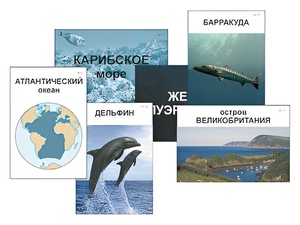 Модель-аппликация "Океаны. Знакомство" (ламинированная) - fgospostavki.ru - Барнаул