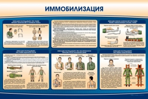Стенд "Иммобилизация" - fgospostavki.ru - Барнаул