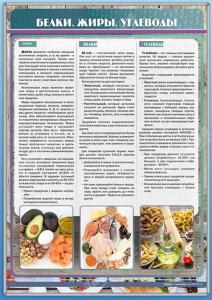 Стенд "Белки. Жиры. Углеводы" - fgospostavki.ru - Барнаул