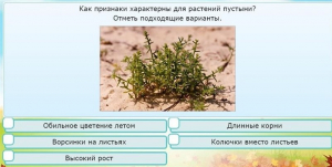 Интерактивные курсы. Окружающий мир 3 класс . Базовый. - fgospostavki.ru - Барнаул