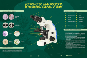 Электрифицированный стенд "Устройство микроскопа и правила работы c ним" - fgospostavki.ru - Барнаул
