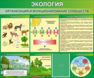 Стенд "Экология. Организация и функционирование сообществ" - fgospostavki.ru - Барнаул