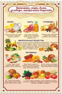 Стенд "Витамины, жиры, белки" - fgospostavki.ru - Барнаул