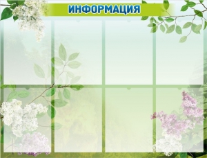 Стенд "Информация" Вариант 13 - fgospostavki.ru - Барнаул