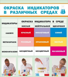 Стенд "Окраска индикаторов в различных средах" - fgospostavki.ru - Барнаул