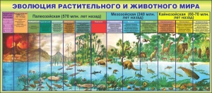Стенд "Эволюция растительного и животного мира" - fgospostavki.ru - Барнаул