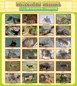 Стенд "Красная книга - млекопитающие" - fgospostavki.ru - Барнаул