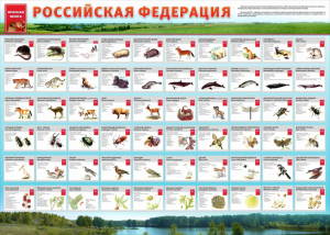 Стенд "Красная книга РФ" - fgospostavki.ru - Барнаул