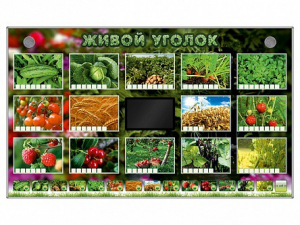 Комплект оборудования "Живой уголок" (растения) - fgospostavki.ru - Барнаул