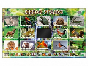 Комплект оборудования "Живой уголок" (животные) - fgospostavki.ru - Барнаул