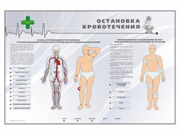 Электрифицированный стенд "Остановка кровотечения" - fgospostavki.ru - Барнаул