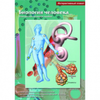 Интерактивные плакаты. Биология человека. Программно-методический комплекс - fgospostavki.ru - Барнаул