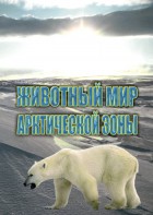 DVD "Животный мир Арктической зоны" - fgospostavki.ru - Барнаул