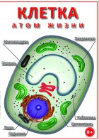 DVD "Клетка - "атом жизни" - fgospostavki.ru - Барнаул