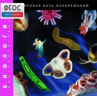 Биология. Микрофотографии. (Цифровая база изображений) - fgospostavki.ru - Барнаул