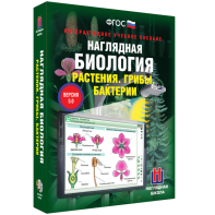 Наглядная биология. 6 класс. Растения. Грибы. Бактерии - fgospostavki.ru - Барнаул